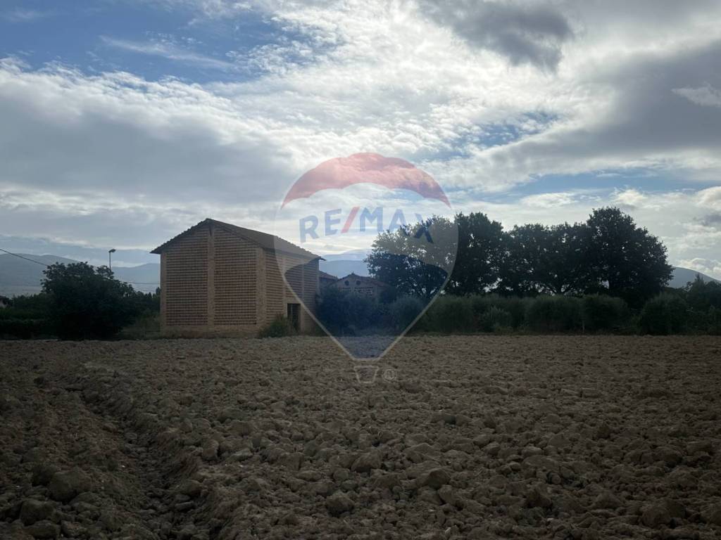 terreno agricolo in vendita a Foligno in zona Scafali