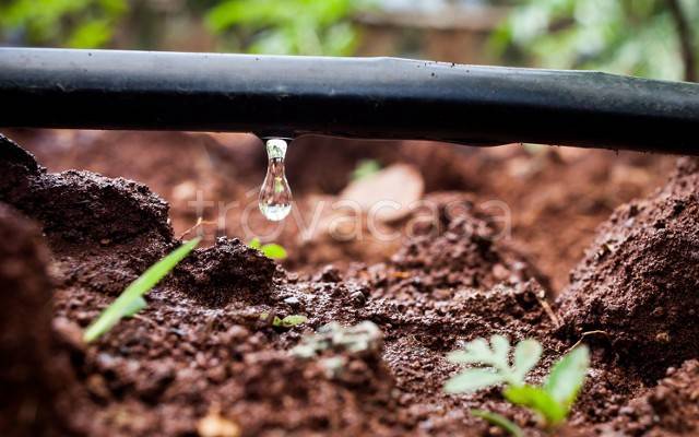 terreno agricolo in vendita a Foligno