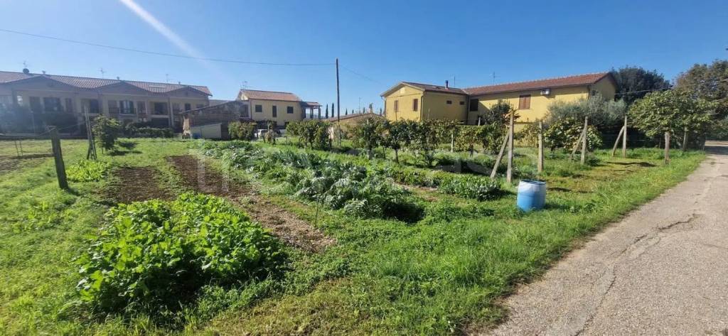terreno agricolo in vendita a Foligno in zona Sterpete