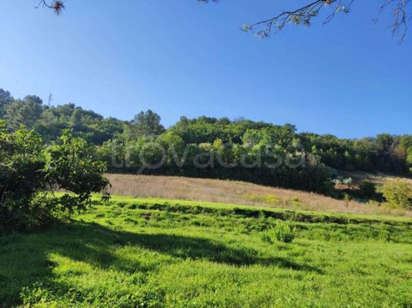 terreno agricolo in vendita a Foligno