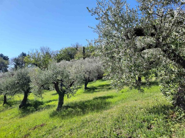 terreno agricolo in vendita a Foligno in zona San Sebastiano