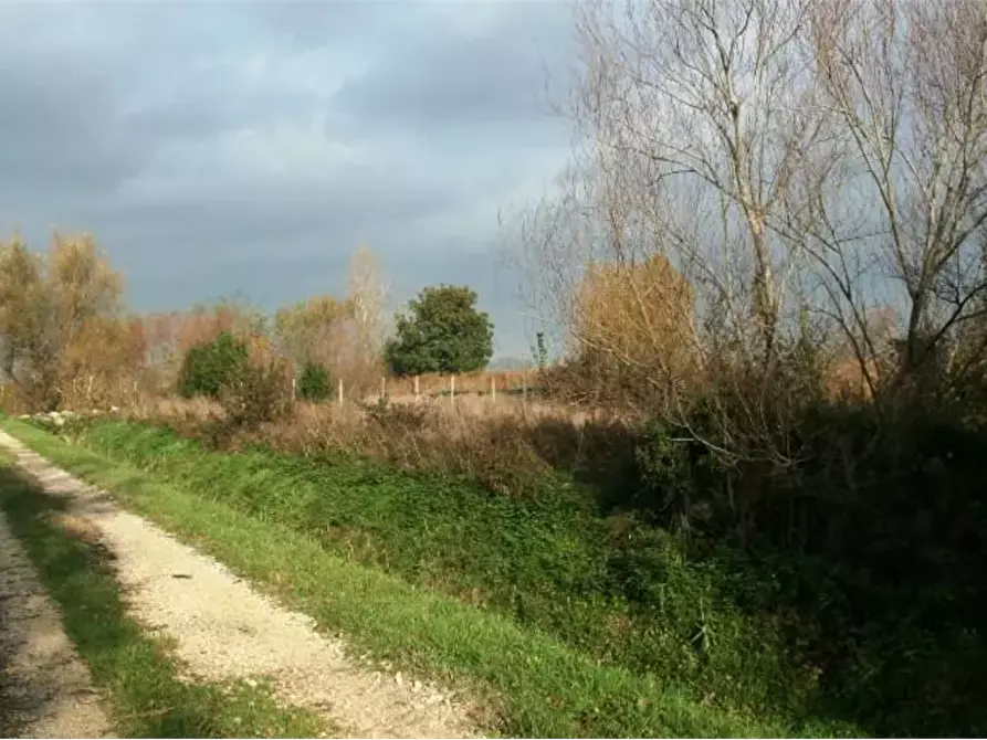 terreno agricolo in vendita a Foligno in zona Budino