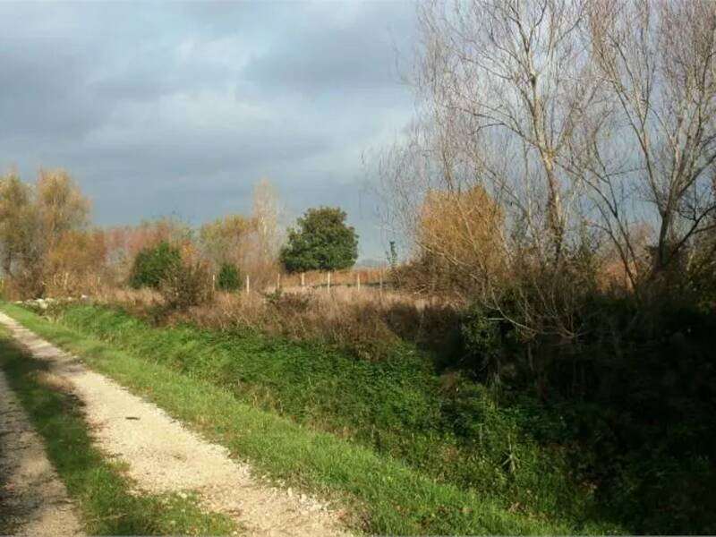 terreno agricolo in vendita a Foligno in zona Budino