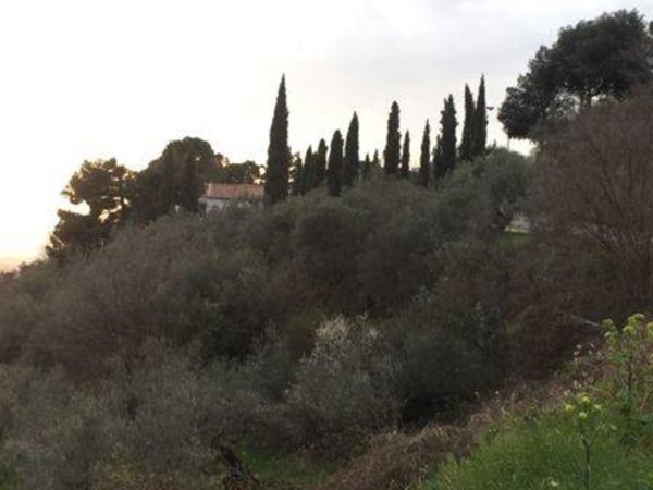 terreno edificabile in vendita a Foligno in zona Uppello