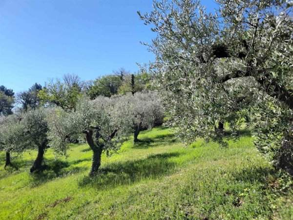 terreno agricolo in vendita a Foligno in zona San Sebastiano