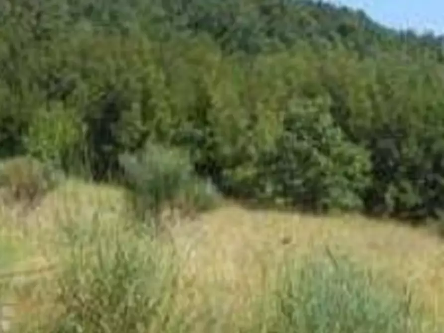 terreno agricolo in vendita a Foligno