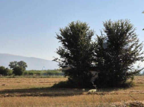 terreno agricolo in vendita a Foligno