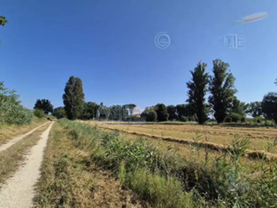 terreno agricolo in vendita a Foligno