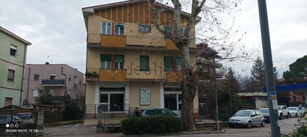 immagine annuncio 0 di 1