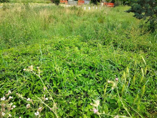 terreno agricolo in vendita a Foligno in zona Corvia