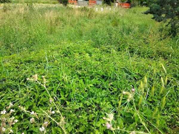 terreno edificabile in vendita a Foligno in zona Rio