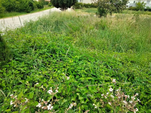 terreno agricolo in vendita a Foligno in zona Corvia