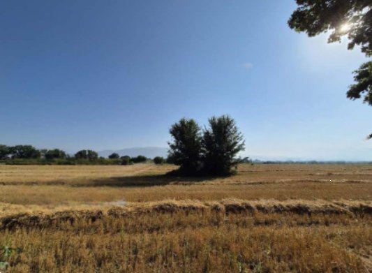 terreno agricolo in vendita a Foligno