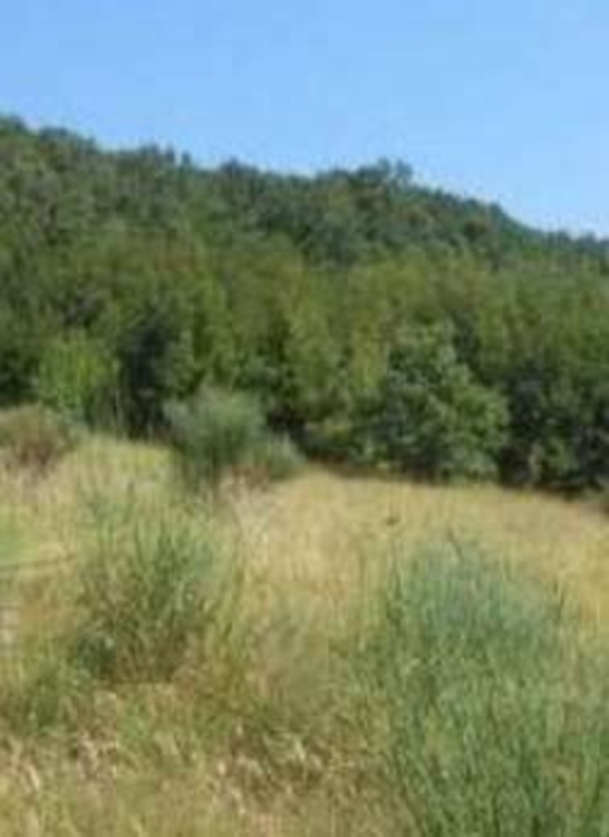terreno agricolo in vendita a Foligno