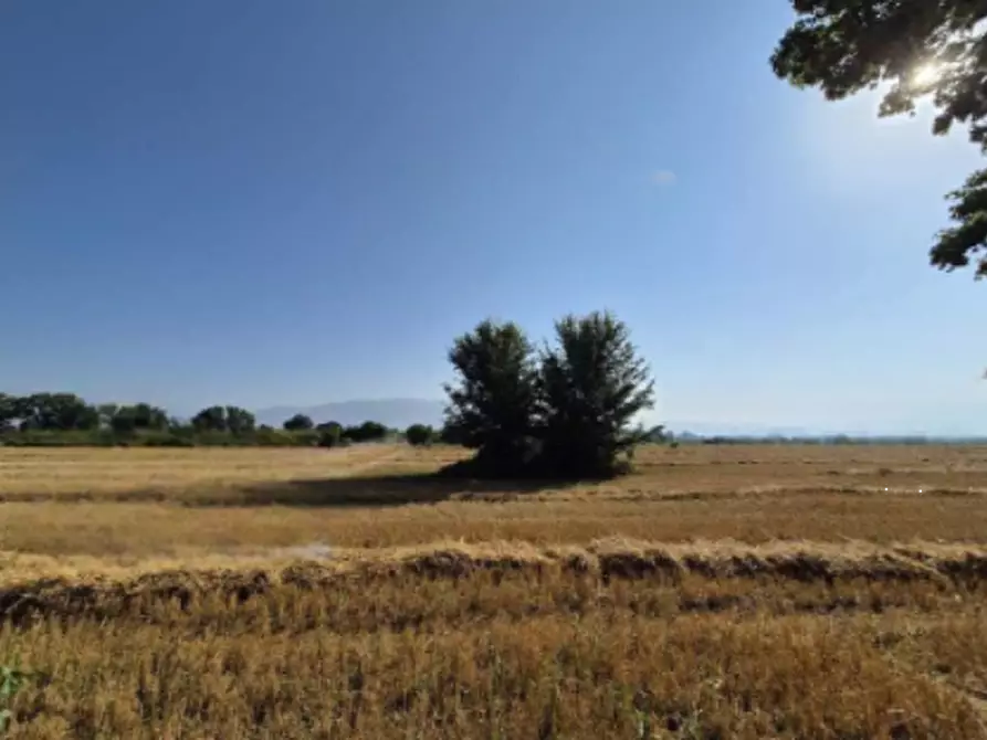 terreno agricolo in vendita a Foligno