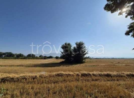 appartamento in vendita a Foligno