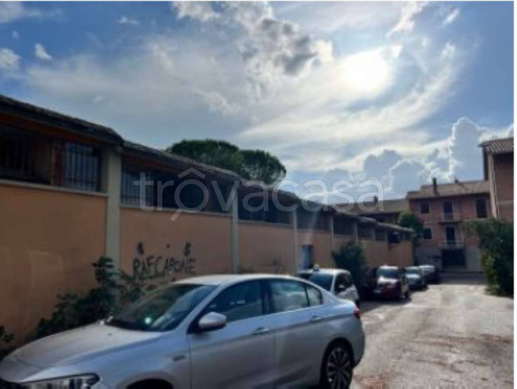 negozio in vendita a Foligno