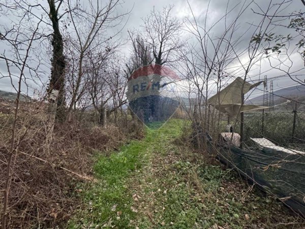 terreno agricolo in vendita a Foligno in zona San Giovanni Profiamma