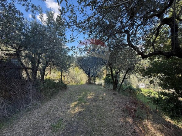 terreno agricolo in vendita a Foligno in zona San Giovanni Profiamma