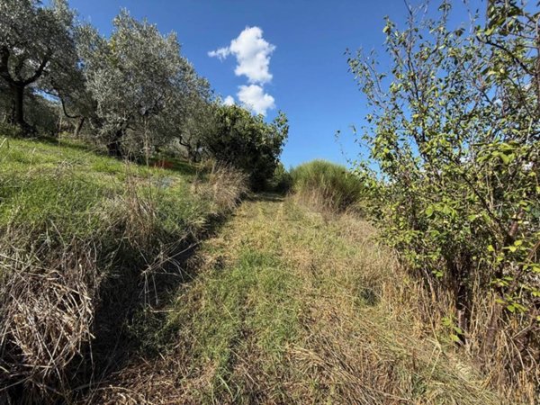 terreno agricolo in vendita a Foligno in zona San Giovanni Profiamma