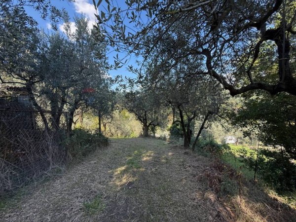 terreno agricolo in vendita a Foligno in zona San Giovanni Profiamma