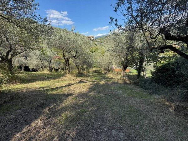 terreno agricolo in vendita a Foligno in zona San Giovanni Profiamma