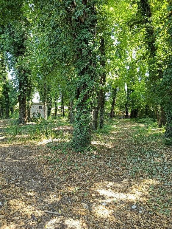 terreno agricolo in vendita a Foligno