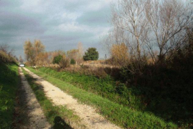 terreno agricolo in vendita a Foligno in zona Budino
