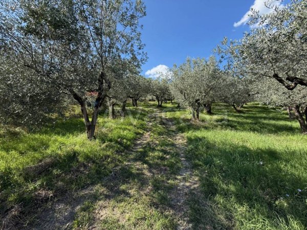 terreno agricolo in vendita a Foligno in zona San Giovanni Profiamma