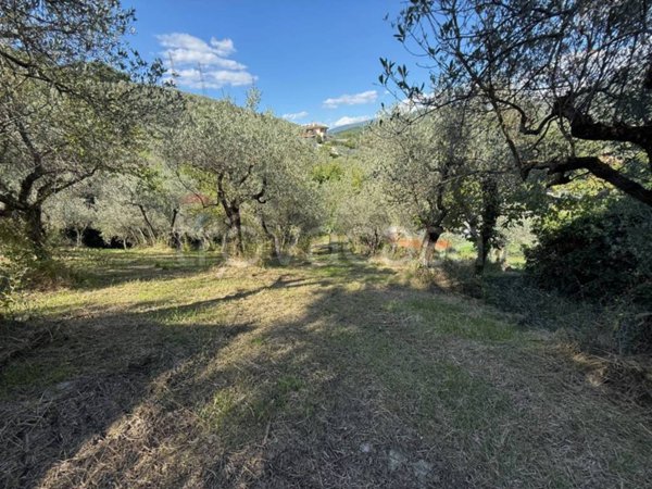 terreno agricolo in vendita a Foligno in zona San Giovanni Profiamma