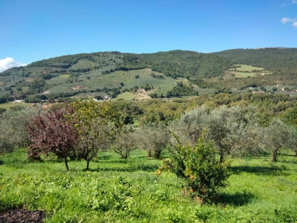 terreno agricolo in vendita a Foligno in zona Scanzano