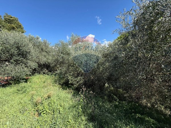 terreno agricolo in vendita a Foligno in zona San Giovanni Profiamma