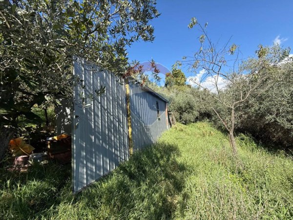 terreno agricolo in vendita a Foligno in zona San Giovanni Profiamma
