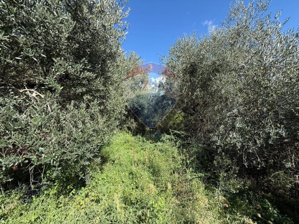 terreno agricolo in vendita a Foligno in zona San Giovanni Profiamma