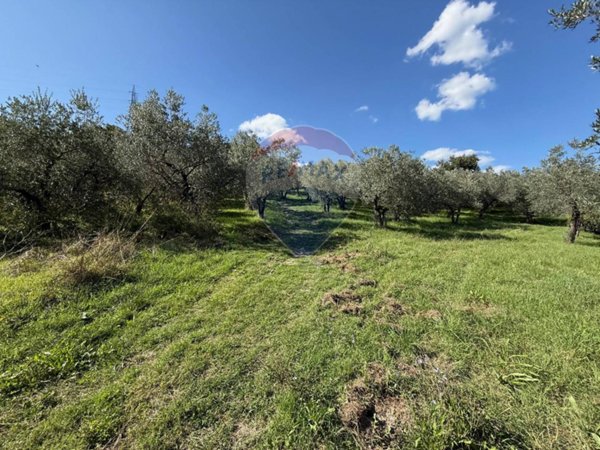 terreno agricolo in vendita a Foligno in zona San Giovanni Profiamma
