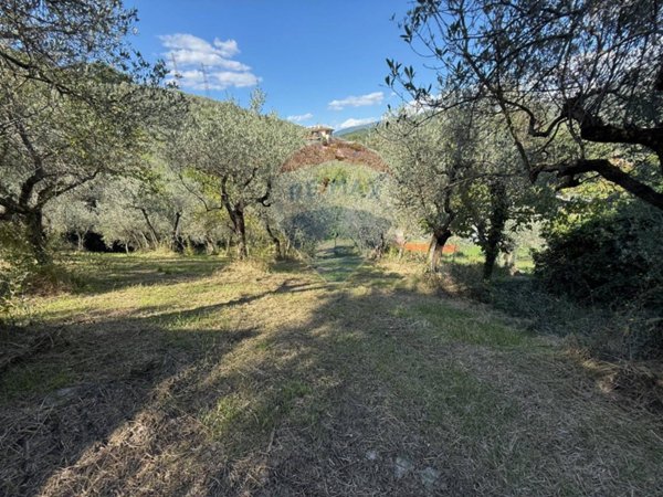 terreno agricolo in vendita a Foligno in zona San Giovanni Profiamma
