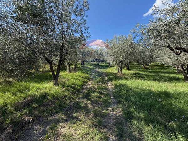 terreno agricolo in vendita a Foligno in zona San Giovanni Profiamma