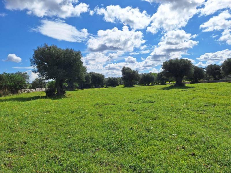 appartamento in vendita a Foligno
