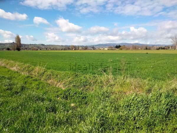 terreno agricolo in vendita a Foligno in zona Scafali