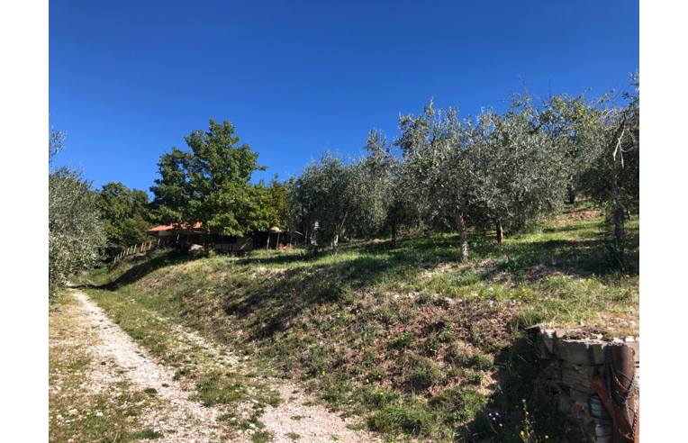 terreno agricolo in vendita a Foligno in zona Ravignano