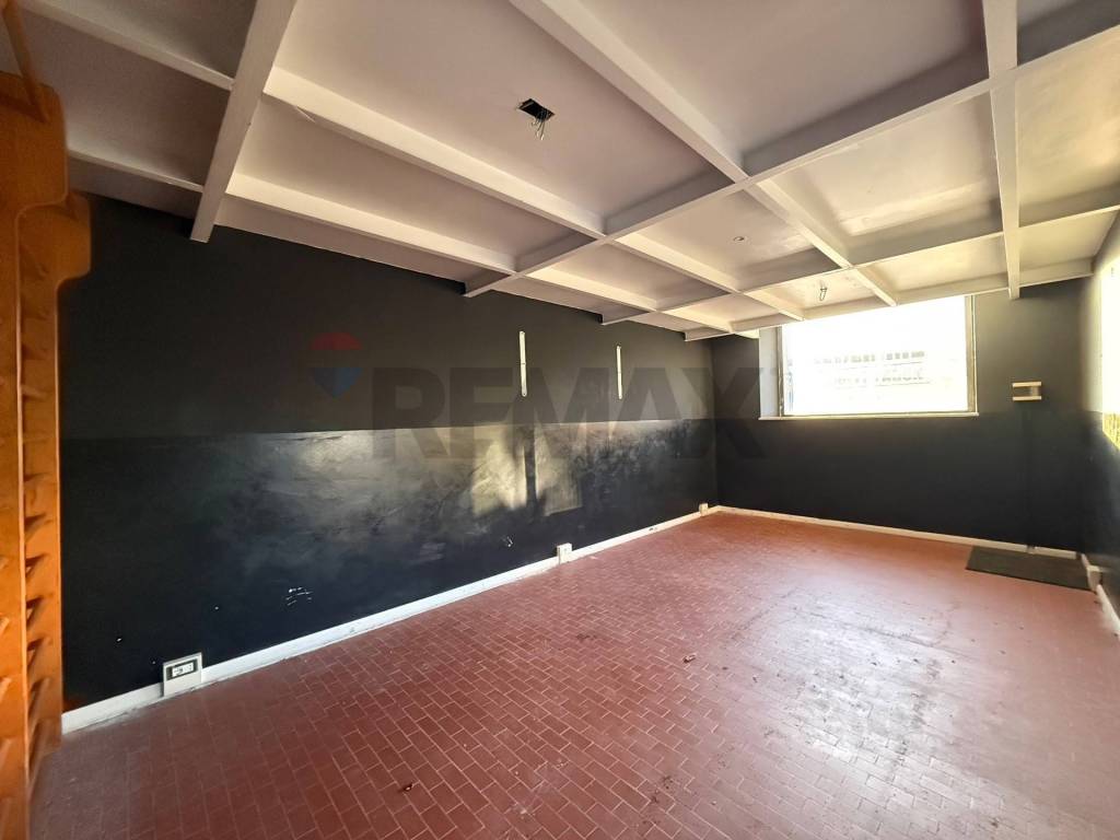 immagine annuncio 0 di 15