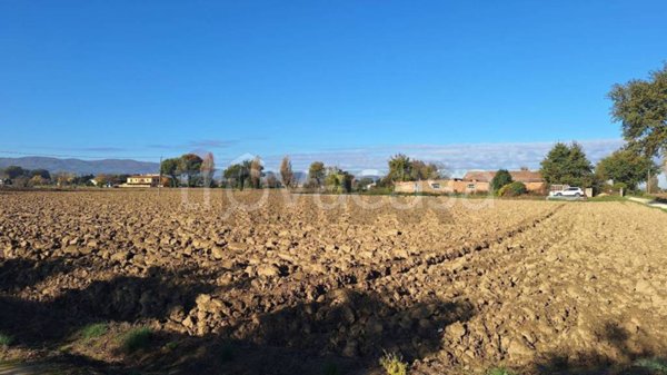 terreno agricolo in vendita a Foligno in zona Maceratola