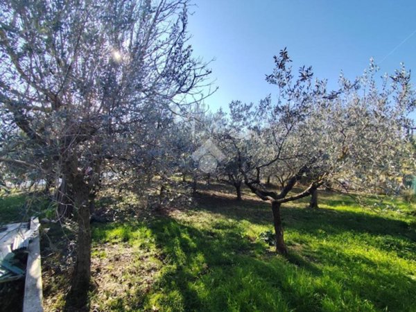 terreno agricolo in vendita a Foligno in zona San Giovanni Profiamma