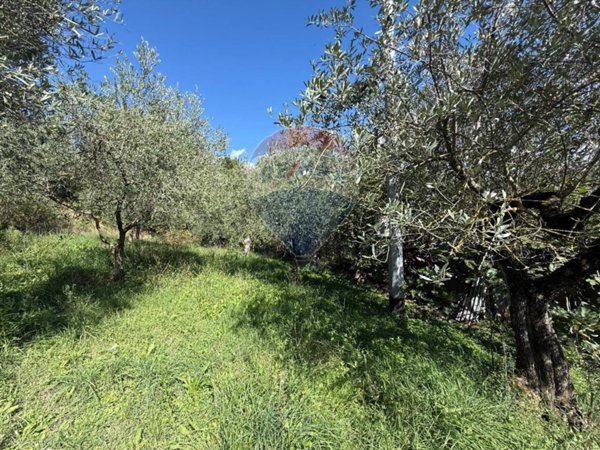 terreno agricolo in vendita a Foligno in zona San Giovanni Profiamma