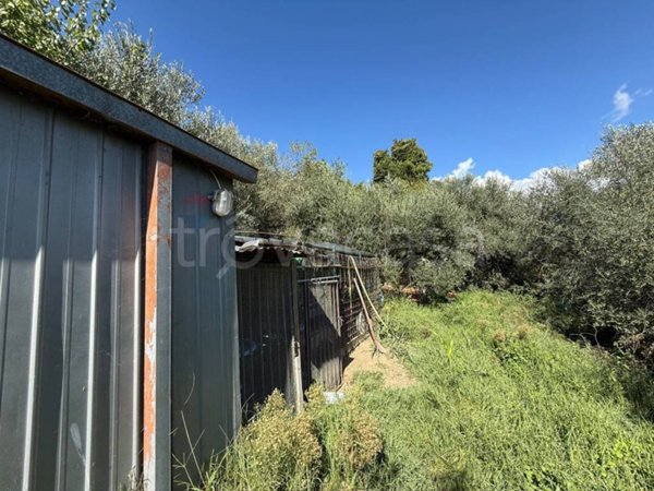 terreno agricolo in vendita a Foligno in zona San Giovanni Profiamma