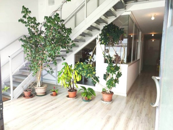 negozio in vendita a Foligno in zona Paciana