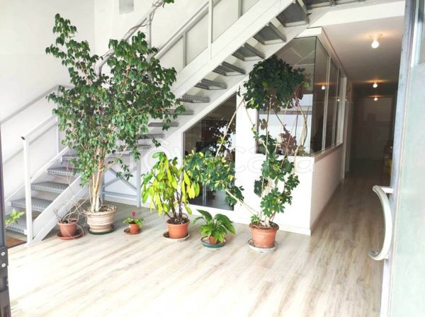 negozio in vendita a Foligno