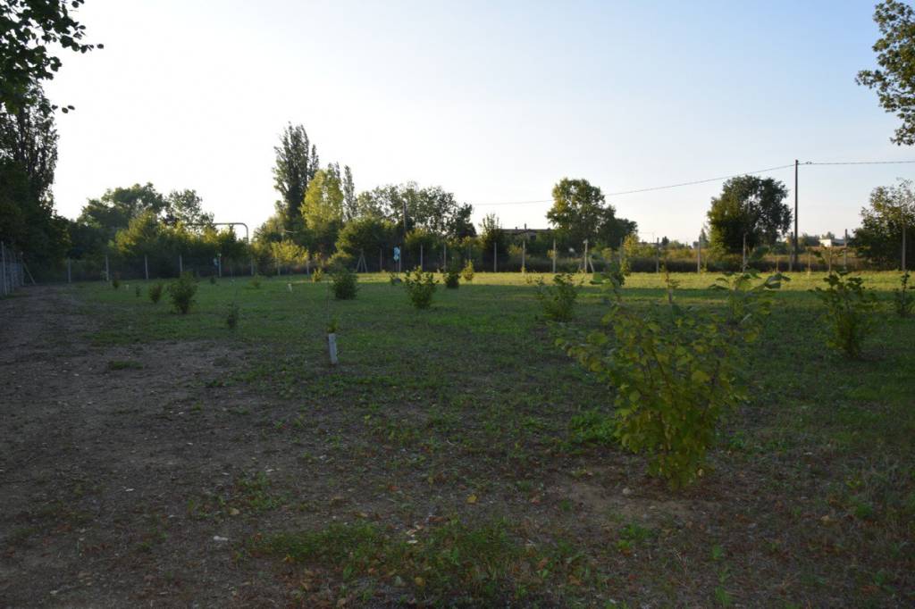 terreno agricolo in vendita a Foligno in zona Cave