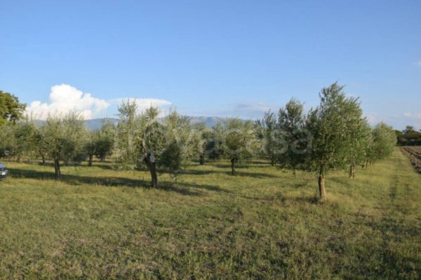 terreno agricolo in vendita a Foligno in zona Cave