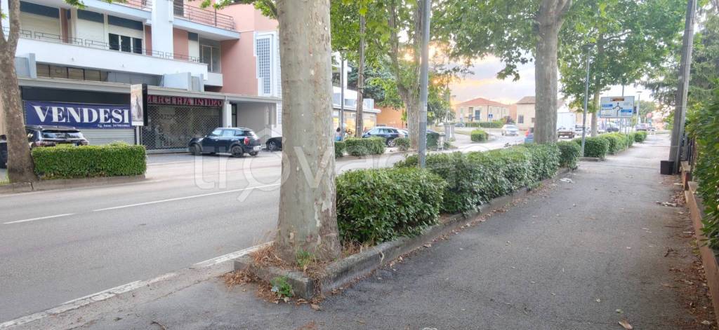 negozio in vendita a Foligno